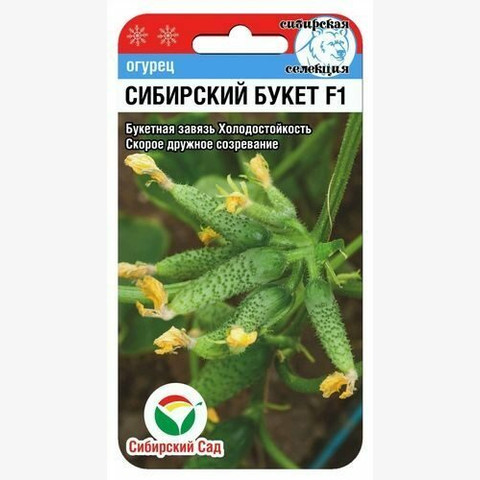 Огурец Сибирский букет