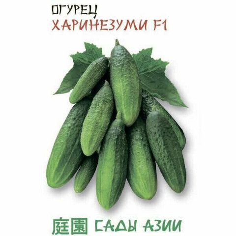 ОГУРЕЦ ХАРИНЕЗУМИ