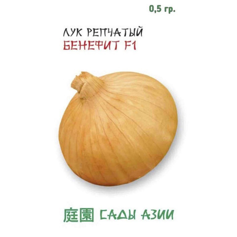 ЛУК РЕПЧАТЫЙ БЕНЕФИТ