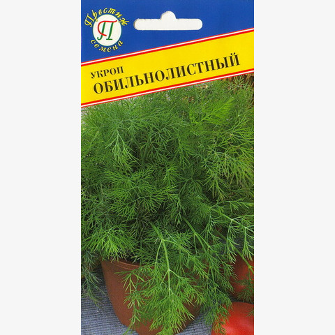 Укроп 