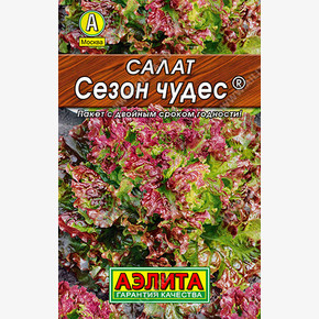 Салат Сезон чудес листовой