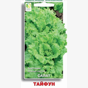 Салат Тайфун