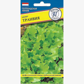 Салат Транвия