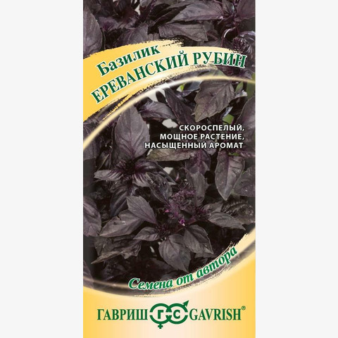 Базилик Ереванский рубин