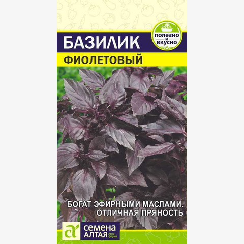 Базилик Фиолетовый