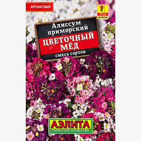 Алиссум Цветочный мед