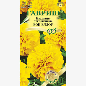 Бархатцы отклоненные Бой Еллоу