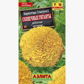 Бархатцы Солнечные гиганты Золотые