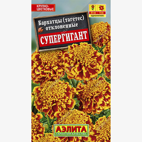Бархатцы СуперГигант отклоненные
