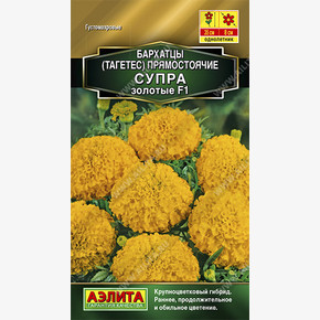 Бархатцы Супра золотые F1 прямостоячие