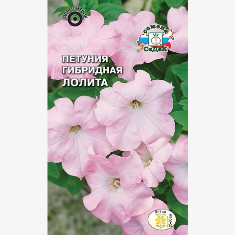 Петуния Лолита гибридная
