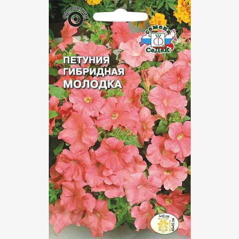 Петуния Молодка гибридная