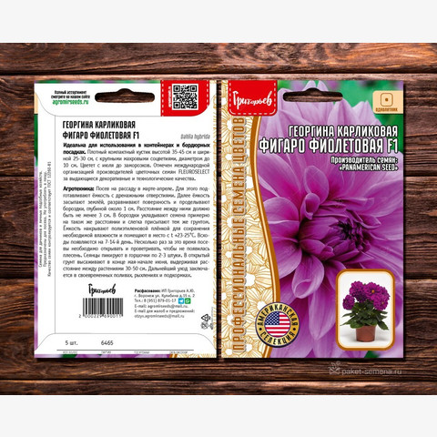 Георгина карликовая Фигаро Фиолетовая F1