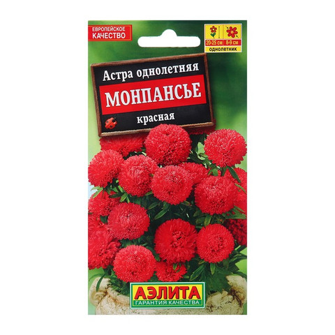 Астра Монпасье красная
