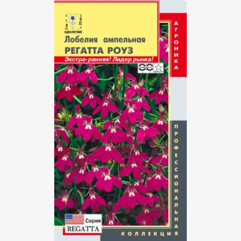 Лобелия ампельная Регатта роуз