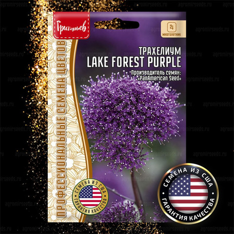 Трахелиум Lake Forest Purple (3шт.)