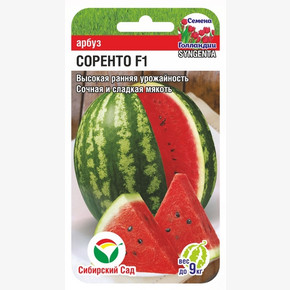 Арбуз Соренто F1 (3шт)