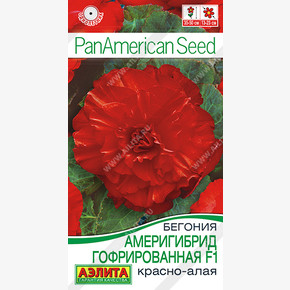 Бегония клубневая Америгибрид Гофрированная красно-алая