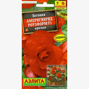 Бегония Америгибрид Роузформ F1 красная