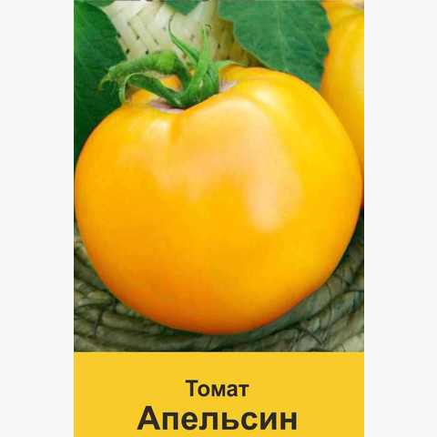 Томат Апельсин (20шт)
