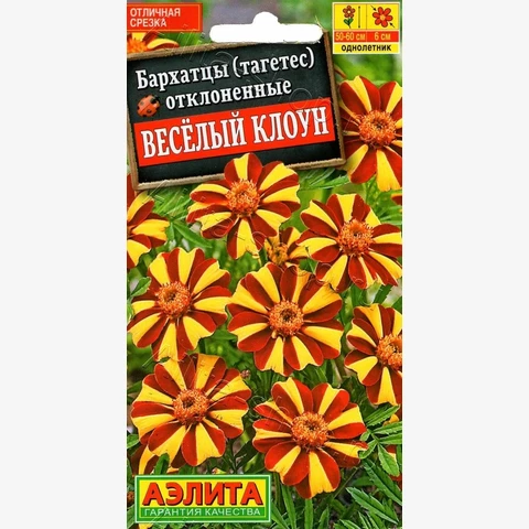 Бархатцы Веселый клоун отклоненные