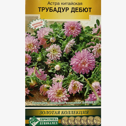 Астра ТРУБАДУР Дебют китайская (10 шт)