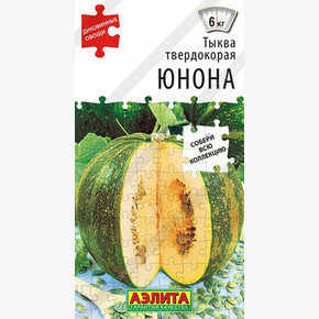 Тыква твердокорая Юнона