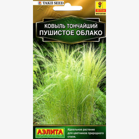 Ковыль Пушистое облако