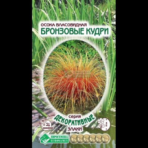 Осока власовидная БРОНЗОВЫЕ КУДРИ (5 шт)