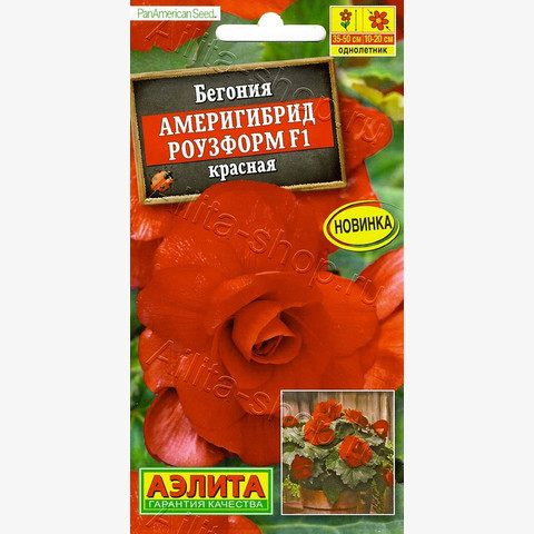 Бегония Америгибрид Роузформ F1 красная 5шт