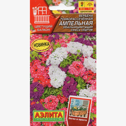 Вербена Ампельная обильноцветущая, смесь сортов 30шт