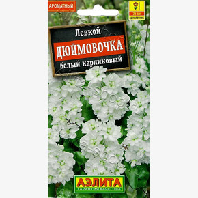 Левкой карликовый Дюймовочка белый 30шт