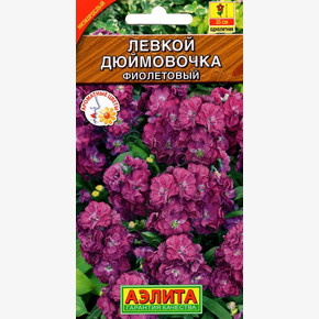 Левкой карликовый Дюймовочка фиолетовый 0,1г