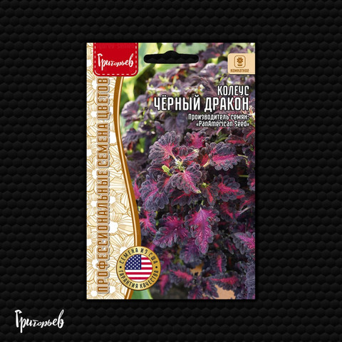 Колеус Чёрный Дракон (фас Ип Григорьев) 10шт