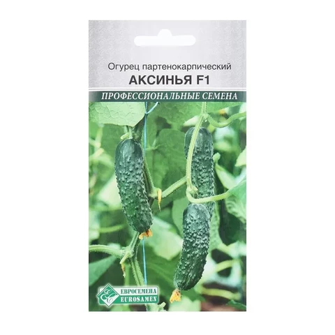 Огурец партенокарпик Аксинья F1 (5шт)