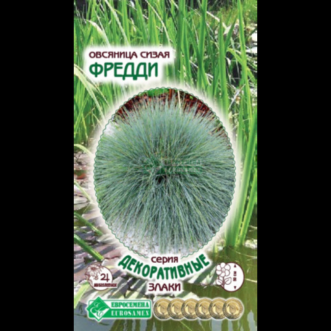 Овсяница сизая Фредди (10 шт)