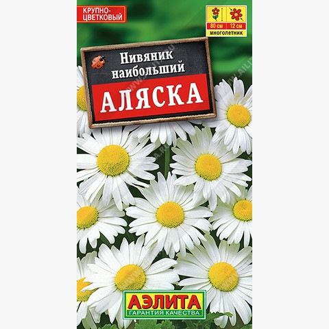 Нивяник наибольший Аляска