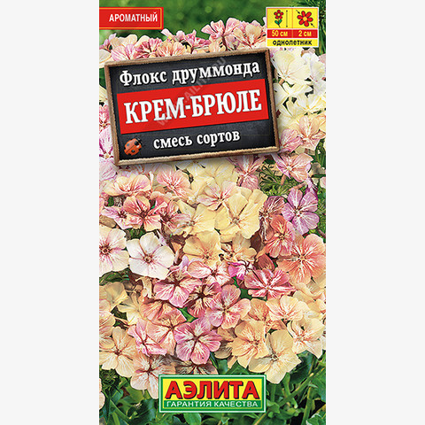 Флокс Крем-брюле , смесь сортов