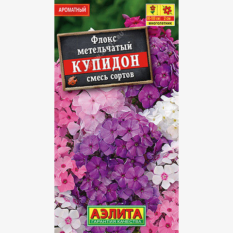 Флокс метельчатый Купидон , смесь сортов