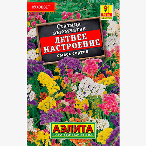 Статица Летнее настроение, смесь сортов