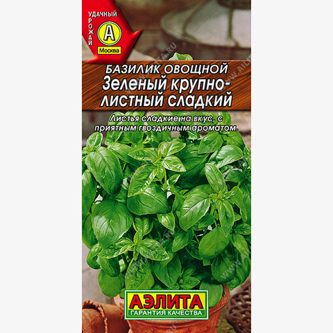 Базилик овощной Зеленый крупнолистный