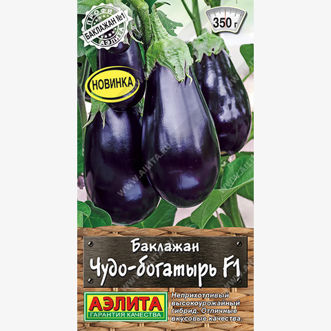 Баклажан Чудо-богатырь