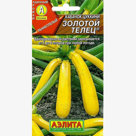 Кабачок цуккини Золотой телец