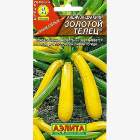 Кабачок цуккини Золотой телец