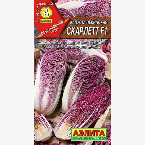 Капуста пекинская Скарлетт