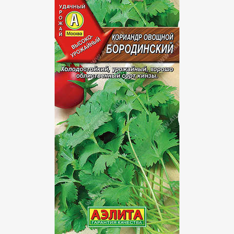 Кориандр овощной Бородинский