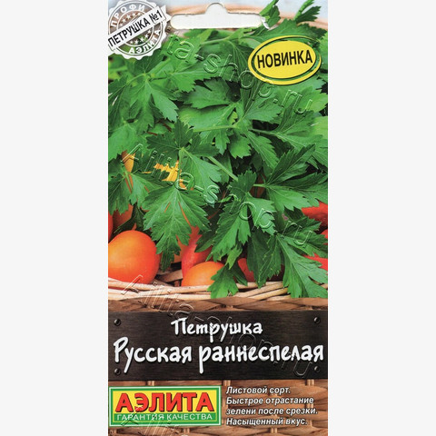 Петрушка листовая Русская раннеспелая