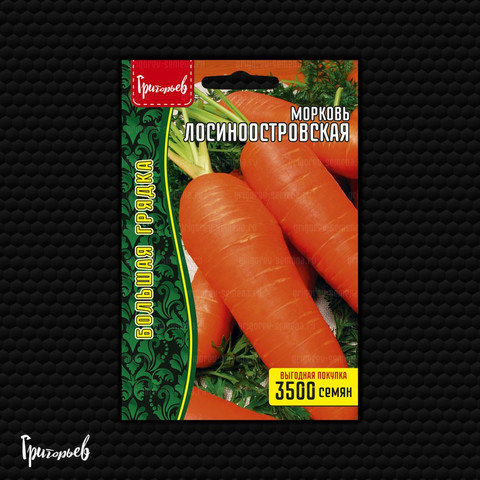 Морковь Лосиноостровская (3500шт)