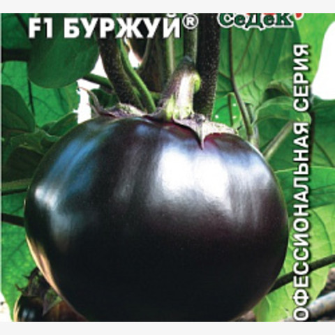 Баклажан Буржуй F1 (0.2гр)