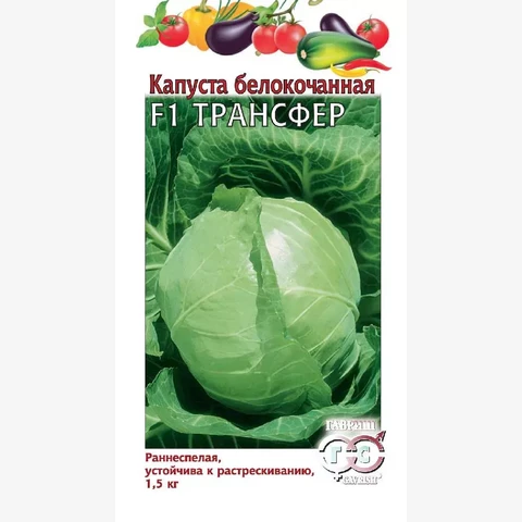 Капуста белокочанная Трансфер F1 10шт (ранняя)